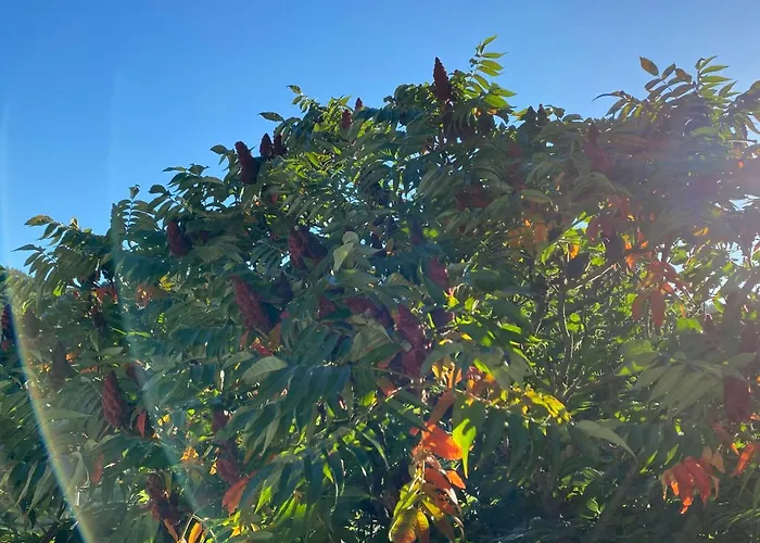 Soennchen Feriehus *